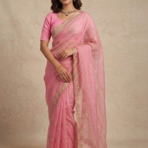 Indian Fashionista Saree - Image 1