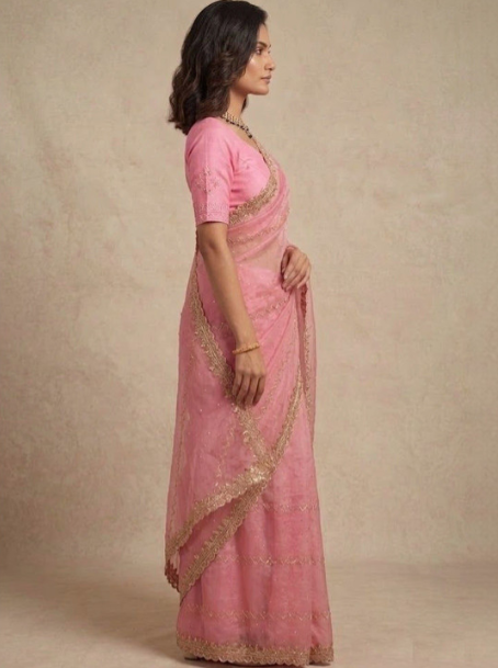 Indian Fashionista Saree